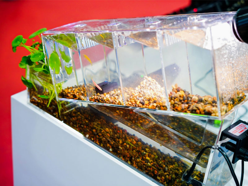 Relacart Tim Wu: Accurately grasping market demand to reshape audio experience