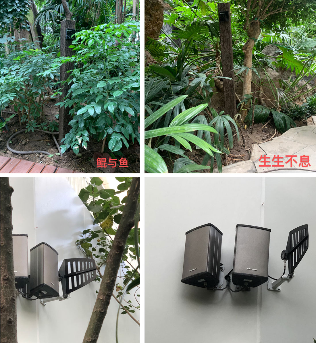 Relacart TM-500 Wireless Microphone System with Antenna System applied in a botanical aarden