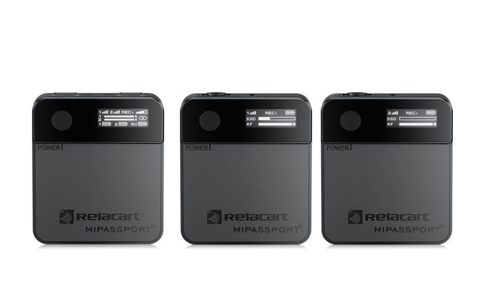 Двухканальная беспроводная микрофонная система