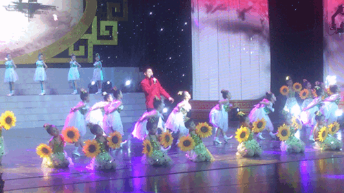 Беспроводное сопровождение relacart на весеннем фестивале в городе Вэйфан в 2014 году